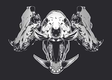 Boar Skulls