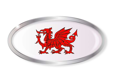 Welsh Dragon Oval Button
