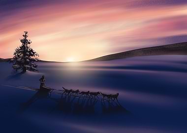 Snowy planes husky sled