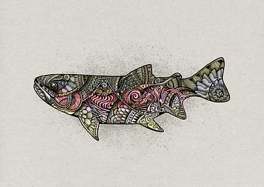 Rainbow Trout Reimagined