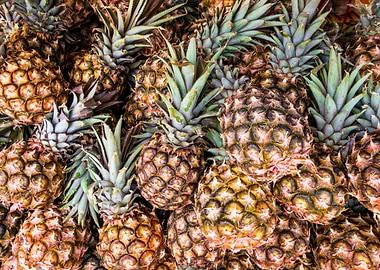 Pineapples On The Market