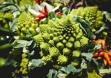 Green Vegetables On The