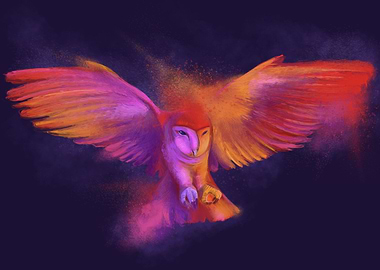 Colorful Owl