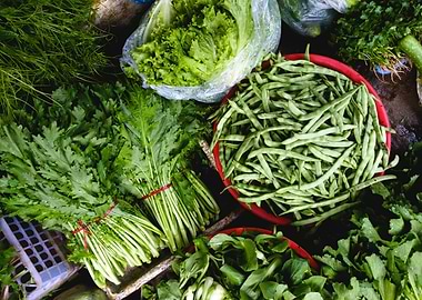 Green Vegetable Bowl