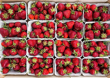Strawberry For Smoothies