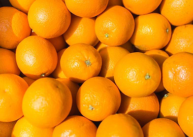 Bundle Of Oranges