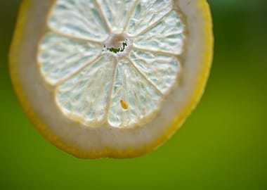 Green Background With