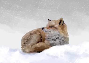 Fox in snow