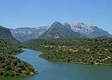 Life from the Mountains