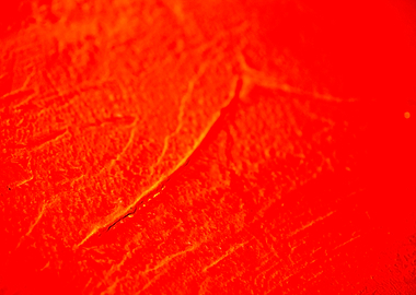 Retro vintage wall macro