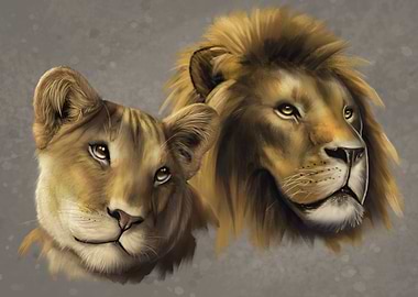 Lion and lioness heads