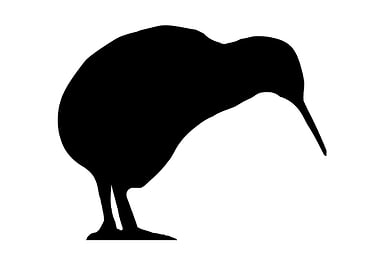 Kiwi Silhouette