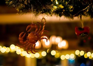 Christmas Crabby