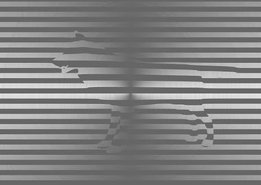 Optical Illusion Animal