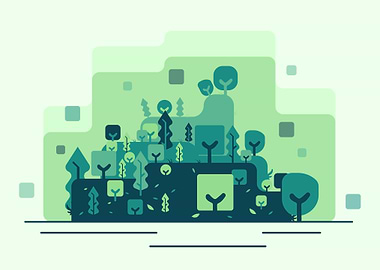 Kalimantan forest valley