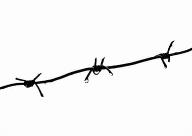 Wet Barbed Wire