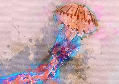 pink jellyfish
