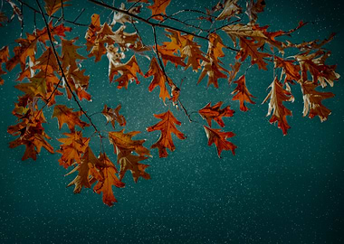 Rust Oak Leaves on Teal