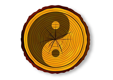 Yin Yang On Timber Section