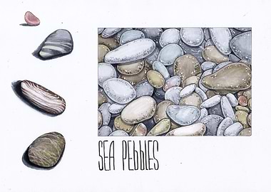 Sea pebbles