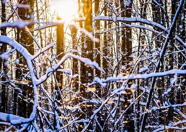 Nature And Setting Sun