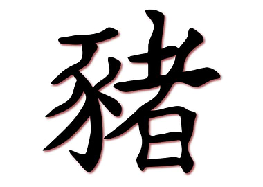 Chinese Text For Pig