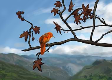 Cranioleuca Erythrops