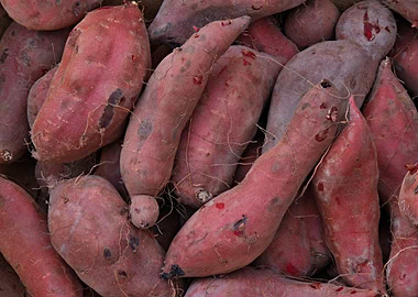 Sweet potatoes