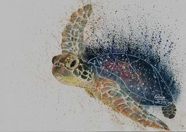 Galaxy Turtle