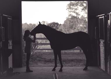 Horse and Girl