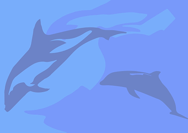 Dolphin Background