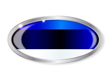 Estonia Flag Oval Button