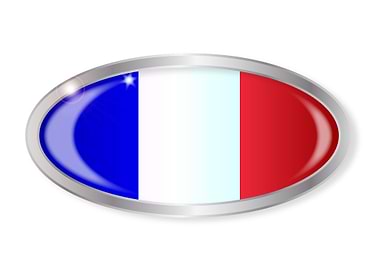 French Flag Oval Button
