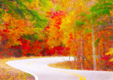 Chattahoochee Forest