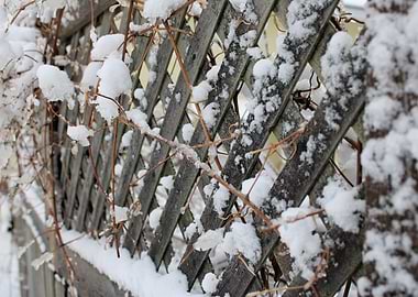 Snow fence
