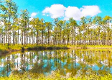 Okefenokee Swamp