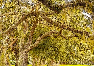 Golden Isles Of Georgia