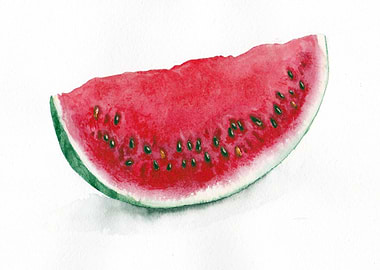Slice of watermelon