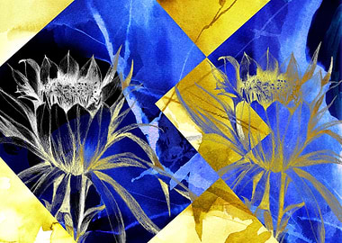 Geometric Flower Mandacaru