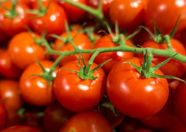 vine red ripe tomatos