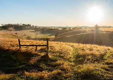 Spring Sun
