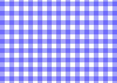 Blue Gingham Material