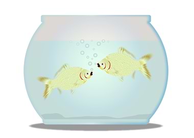 Pet Goldfish Bowl