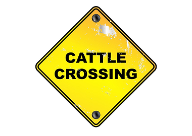 Cattle Crossing Sign