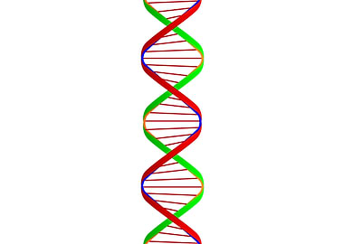 DNA Twin Spiral