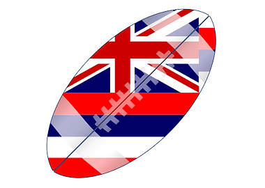 Hawaii State Football Flag