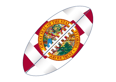 Florida USA Football Ball