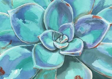 Succulents I