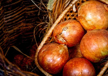 Onions In A Wicker Basket