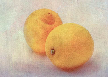 Two Yellow Lemon Fruits